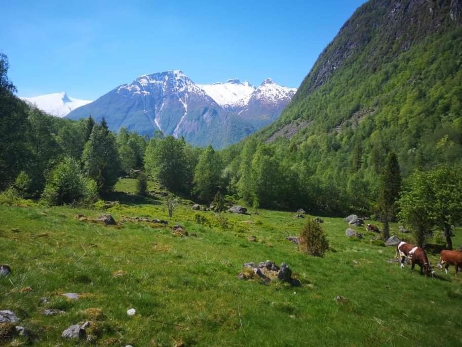 Sogndal Ski- And Mountain Cabin Exterior foto
